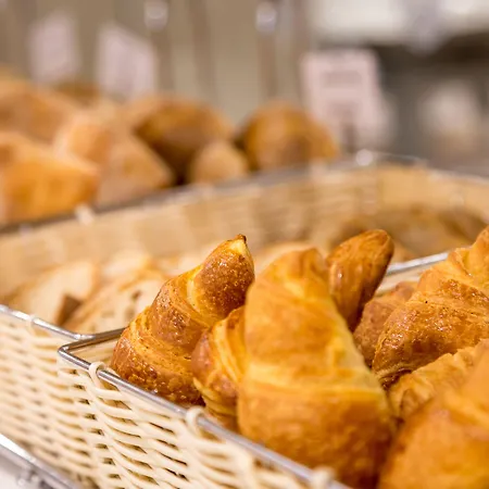 فندق Dom Jose كوارتيرا